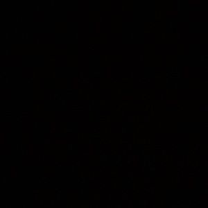 Meet your Posher, Will